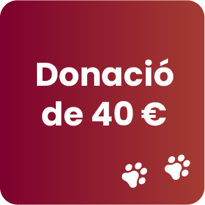 Donació de 40 €